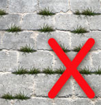 weed free paving